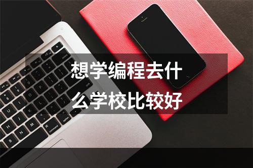 想学编程去什么学校比较好