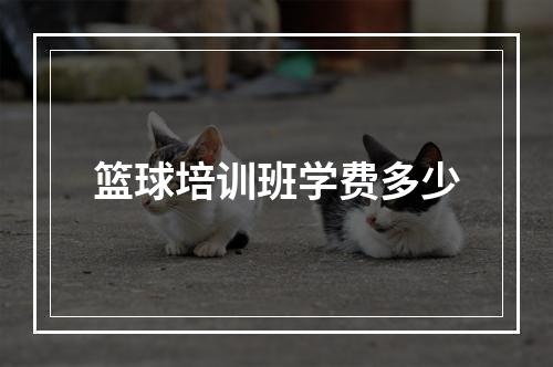 篮球培训班学费多少