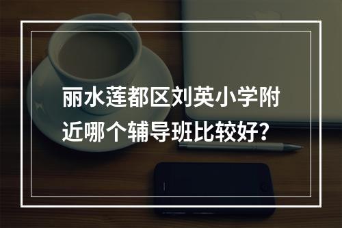 丽水莲都区刘英小学附近哪个辅导班比较好？