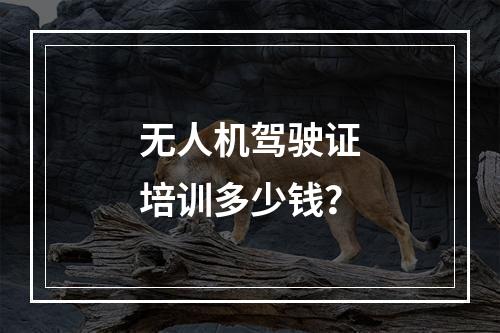 无人机驾驶证培训多少钱？