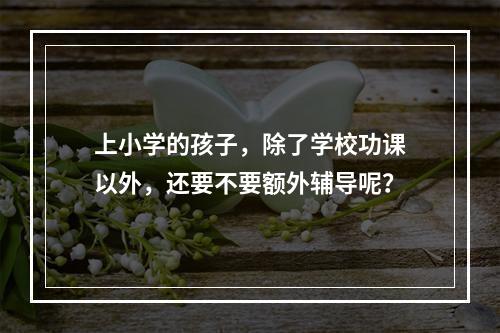 上小学的孩子，除了学校功课以外，还要不要额外辅导呢？