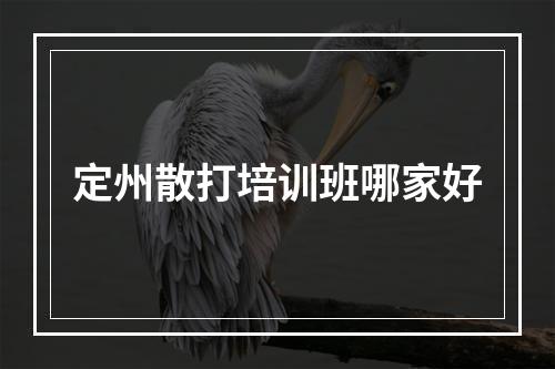 定州散打培训班哪家好