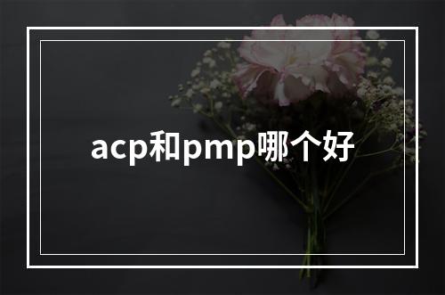 acp和pmp哪个好