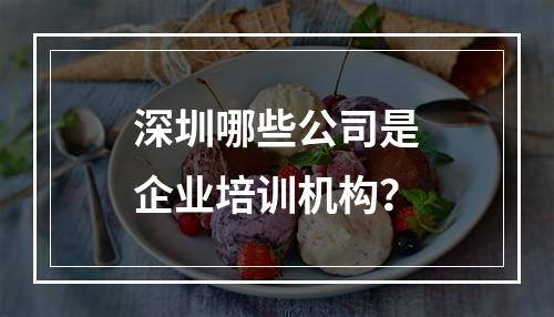 深圳哪些公司是企业培训机构？