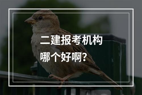 二建报考机构哪个好啊？