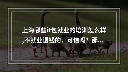 上海哪些it包就业的培训怎么样,不就业退钱的，可信吗？那几个培训比较好