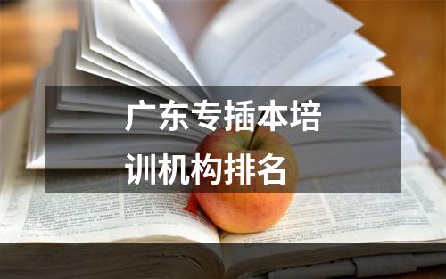 广东专插本培训机构排名