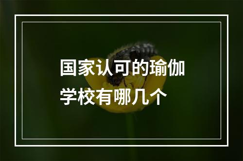 国家认可的瑜伽学校有哪几个