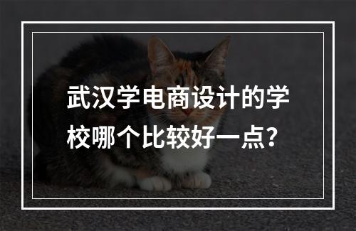 武汉学电商设计的学校哪个比较好一点？