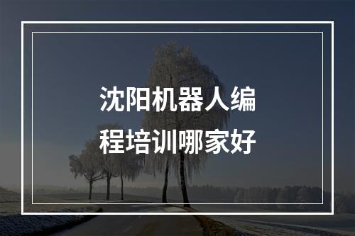 沈阳机器人编程培训哪家好