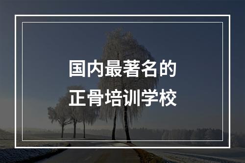 国内最著名的正骨培训学校