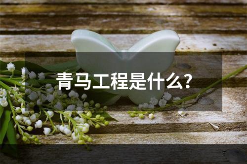 青马工程是什么？