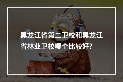 黑龙江省第二卫校和黑龙江省林业卫校哪个比较好？