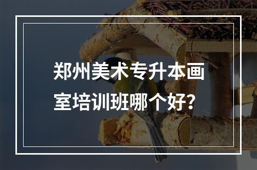 郑州美术专升本画室培训班哪个好？