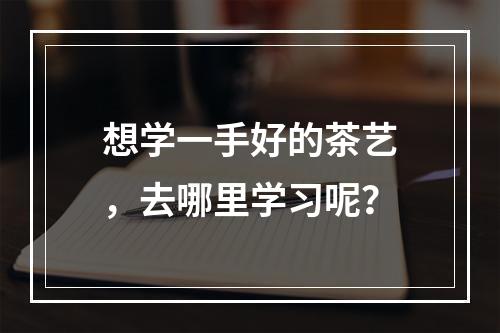 想学一手好的茶艺，去哪里学习呢？