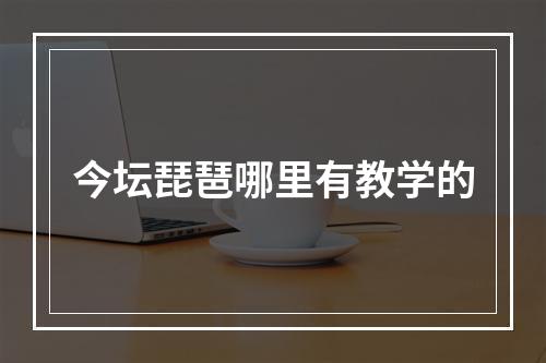 今坛琵琶哪里有教学的