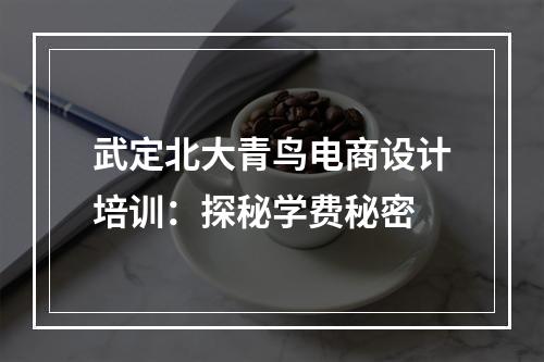 武定北大青鸟电商设计培训：探秘学费秘密