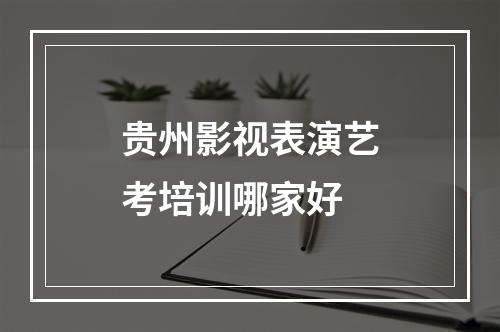 贵州影视表演艺考培训哪家好