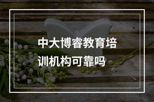 中大博睿教育培训机构可靠吗