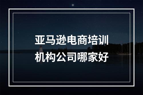 亚马逊电商培训机构公司哪家好