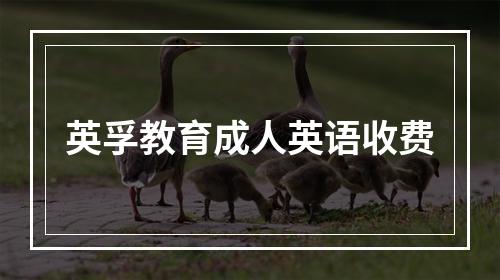 英孚教育成人英语收费