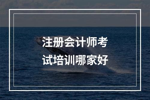 注册会计师考试培训哪家好