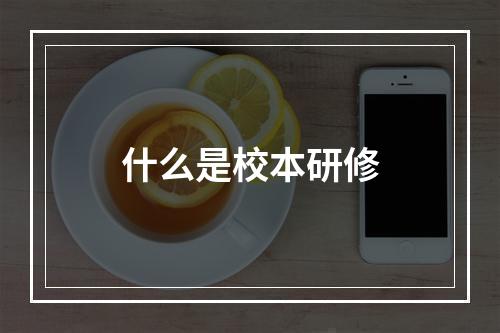 什么是校本研修