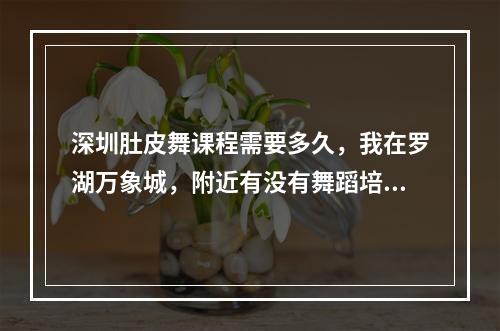 深圳肚皮舞课程需要多久，我在罗湖万象城，附近有没有舞蹈培训机构。