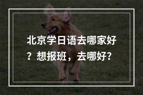 北京学日语去哪家好？想报班，去哪好？