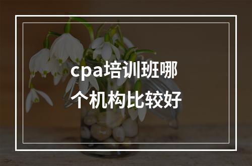 cpa培训班哪个机构比较好