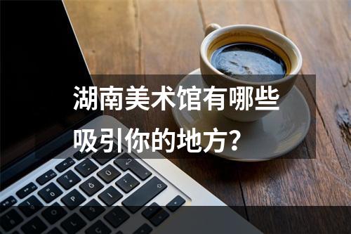 湖南美术馆有哪些吸引你的地方？