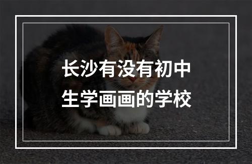 长沙有没有初中生学画画的学校