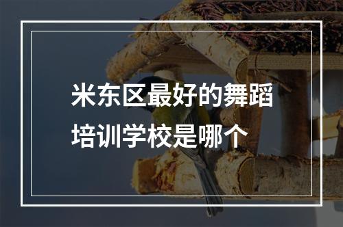 米东区最好的舞蹈培训学校是哪个