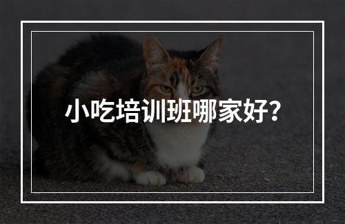 小吃培训班哪家好？