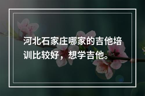 河北石家庄哪家的吉他培训比较好，想学吉他。