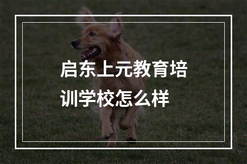 启东上元教育培训学校怎么样