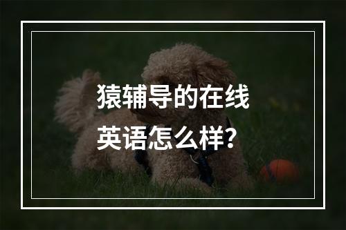 猿辅导的在线英语怎么样？