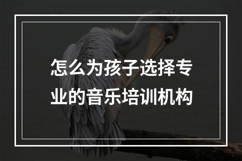 怎么为孩子选择专业的音乐培训机构