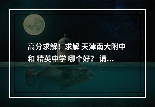 高分求解！求解 天津南大附中 和 精英中学 哪个好？ 请详细些