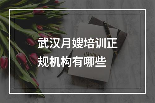 武汉月嫂培训正规机构有哪些