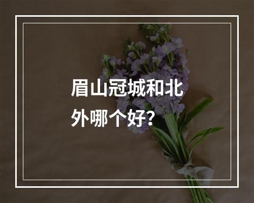 眉山冠城和北外哪个好？