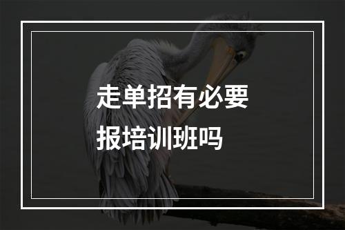 走单招有必要报培训班吗