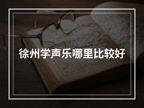 徐州学声乐哪里比较好