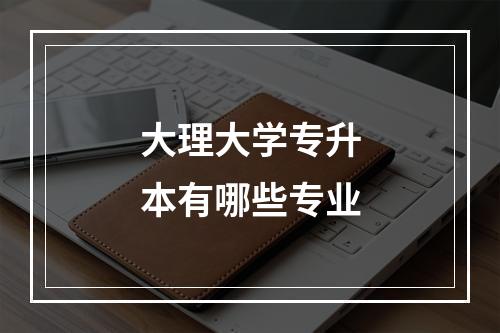 大理大学专升本有哪些专业