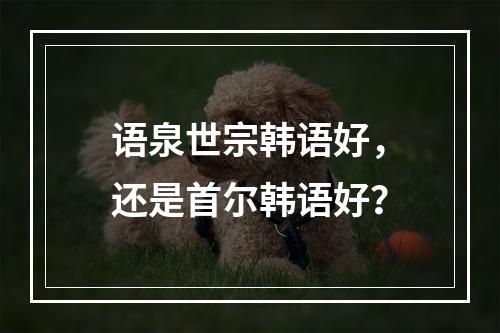 语泉世宗韩语好，还是首尔韩语好？