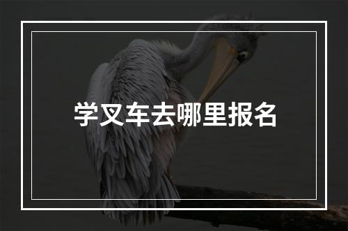 学叉车去哪里报名