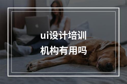 ui设计培训机构有用吗