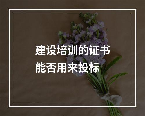 建设培训的证书能否用来投标