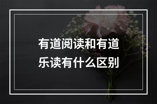 有道阅读和有道乐读有什么区别