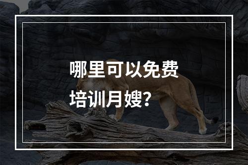 哪里可以免费培训月嫂？